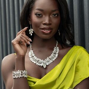 Zi Collection Paparazzi Silver Necklace and Earring Set